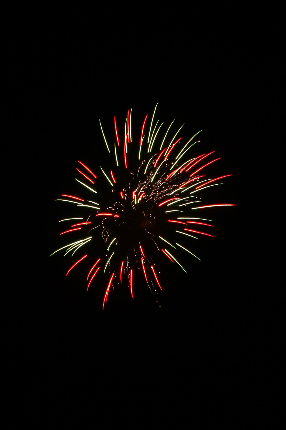 Fireworks 2010 13